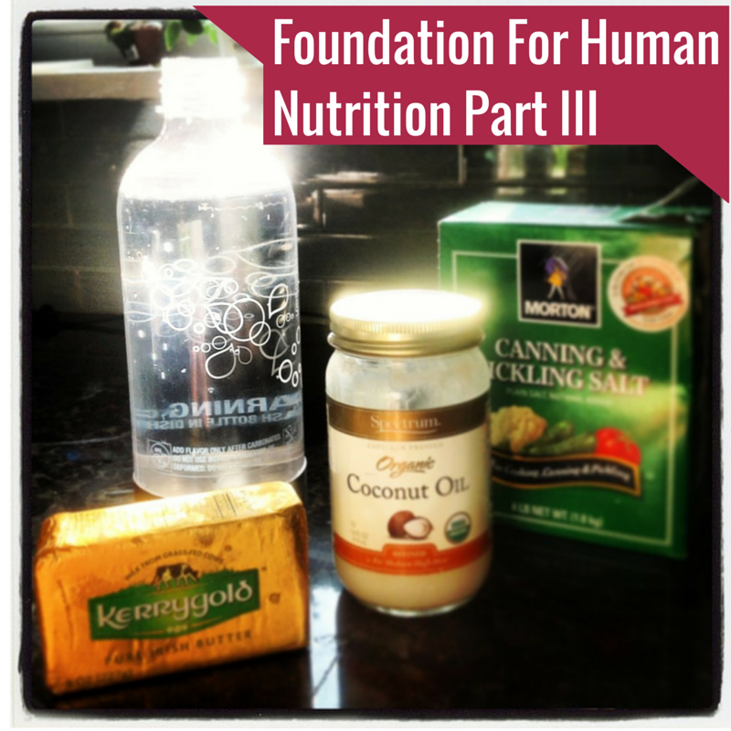 Foundation For Human Nutrition Part III