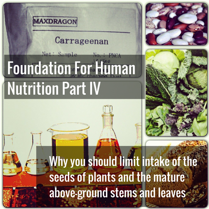 Foundation For Human Nutrition part IV