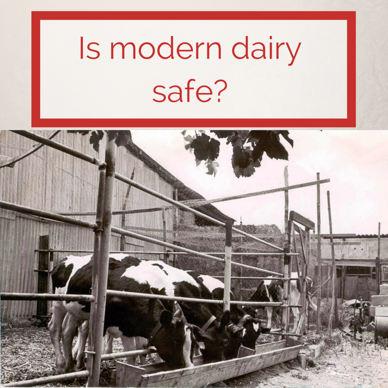 Is modern dairy safe for consumption?