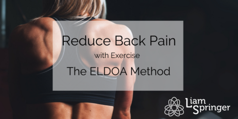 Reduce Back Pain with Exercise_ The ELDOA Method